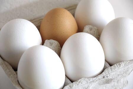 Brown eggs and a white in a carton package