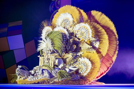 TENERIFE, FEBRUARY 3: Spectacular costumes worn by the queen candidates in the great Gala. FEBRUARY...