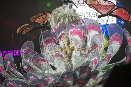 TENERIFE, FEBRUARY 3: Spectacular costumes worn by the queen candidates in the great Gala. FEBRUARY...