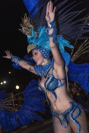 TENERIFE, SPAIN - FEBRUARY 22, 2020: Carnival Festival in the streets of Santa Cruz de Tenerife....