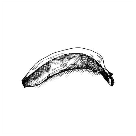 Banana sketch. Hand drawn sketch style black banana on white background. Vector illustrationの写真素材
