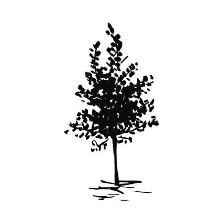 Tree. Single, hand drawn black tree, isolated on white background. Sketch style illustration.の写真素材