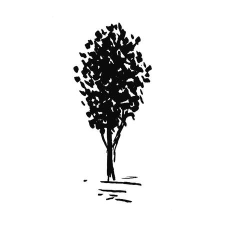 Tree. Single, hand drawn black tree, isolated on white background. Sketch style illustration.の写真素材