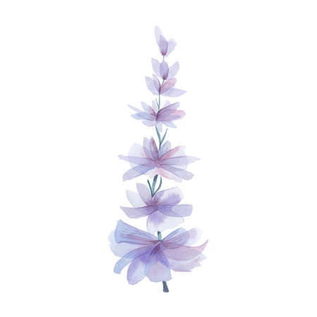 Purple flower. Hand drawn watercolor illustration, cute delicate Lupine flower, isolated on a white background.の写真素材