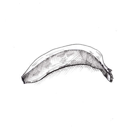 Banana sketch. Hand drawn sketch style black banana on white background.の写真素材