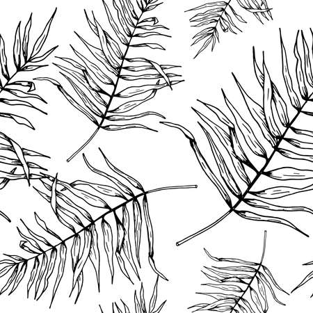 Leaf pattern. Seamless vector backdrop. Hand drawn tropical palm leaves on white background. Sketch style. Black on white.の写真素材