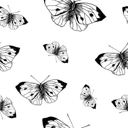 Butterfly sketch pattern. Hand drawn insect butterflies cabbage on white background. Seamless vector backdrop.のイラスト素材