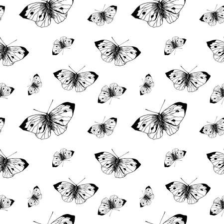 Butterfly sketch pattern. Hand drawn insect butterflies cabbage on white background. Seamless vector backdrop.の写真素材