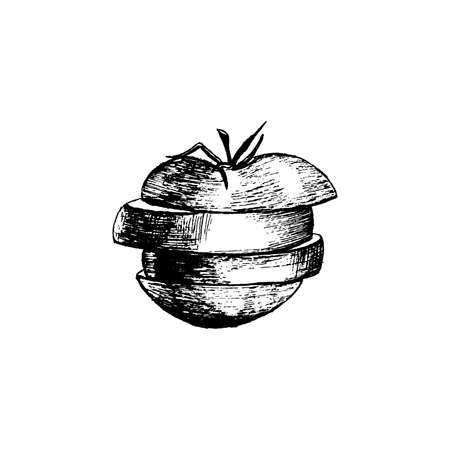 Tomato vector, vector sketch sliced tomato, hand-drawn black and white vector illustration on white background for your design.のイラスト素材