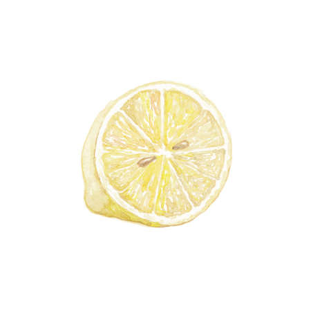 Lemon, watercolor sketch. Hand drawn illustration, isolated on white.の写真素材