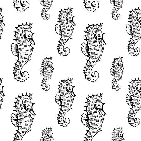 Seahorse sketch pattern. Hand drawn black Seahorses on transparent background. Seamless vector backdrop.のイラスト素材