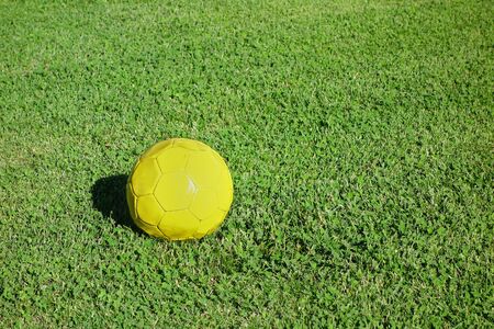 Yellow soccer ball in the fieldの写真素材