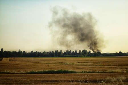 Fire on field in rural placeの写真素材