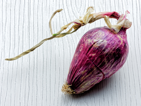 italian red onion tropeaの写真素材