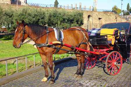 Horse and carriage at Colosseum in Rome Italyの写真素材