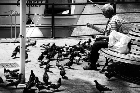 Genoa, Italy - June 2015: Poor elderly lonely man sitting on bench and feeding pigeonsのeditorial素材
