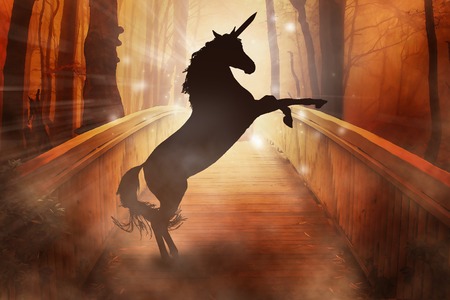 Silhouette horned horse or unicorn in enchanted forestの写真素材