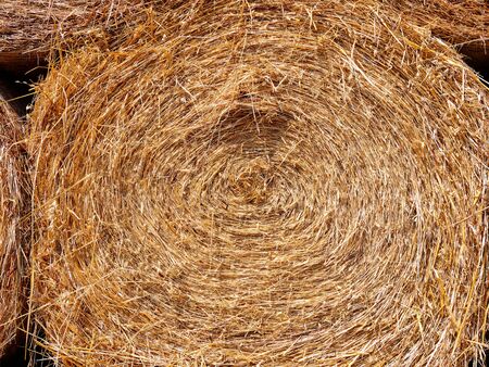 bale of straw in field closeup.の写真素材