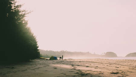 Misty Morningの写真素材