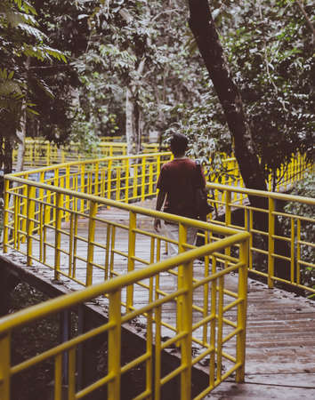 Walking in the forestの写真素材