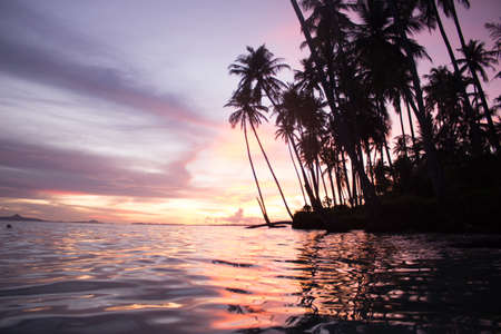 Colorful Sunset