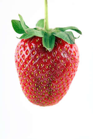 Strawberryの写真素材