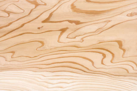 Grain of wood of the cedar boardの写真素材