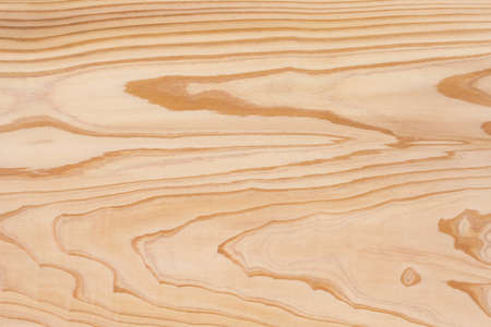 Grain of wood of the cedar boardの写真素材
