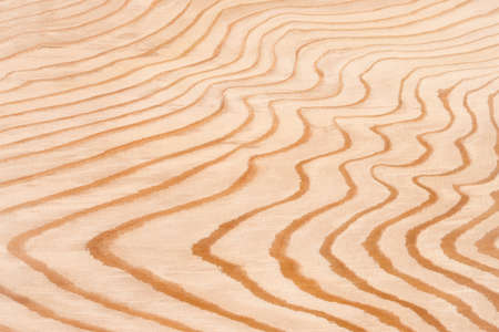 Grain of wood of the cedar boardの写真素材