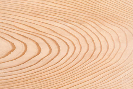Grain of wood of the cedar boardの写真素材