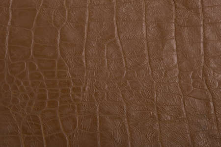 Leather image