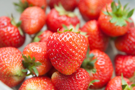 Fruit, vegetable planting dwarf fruit trees, bright red.の写真素材