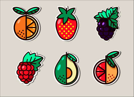 Vector illustration of popular summer treats. Image of orange, bright strawberry, blackberry, aromatic raspberry, buttery avacado and healthy grapefruit.のイラスト素材