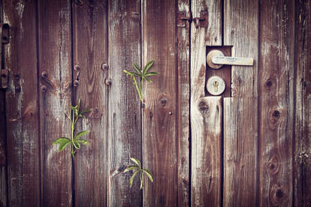 Old wooden door