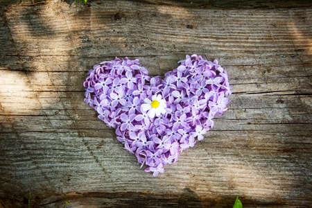 Heart shaped flowers on wooden boardの写真素材