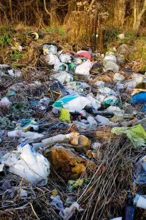 Garbage in the forest