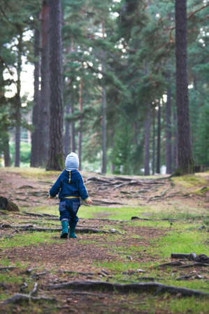 Little boy is walking in the forest