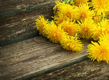 Dandelions on wooden backgroundの写真素材