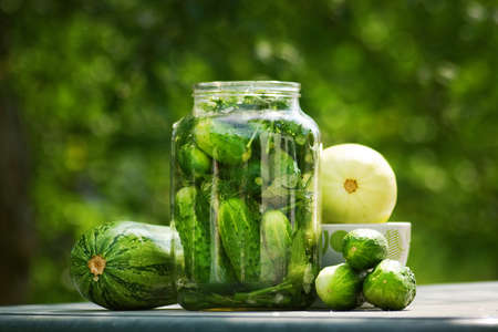 Green vegetablesの写真素材