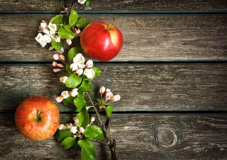 Apples with flowers on wooden boardの写真素材