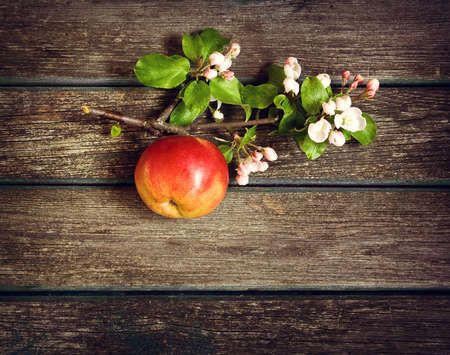 Apple with flowers on wooden boardの写真素材