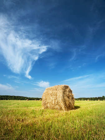 Hay bales with blue sky