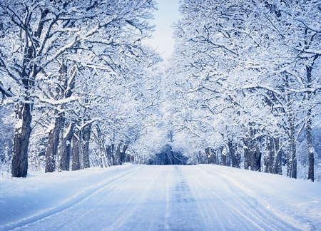 Alley in snowy morningの写真素材