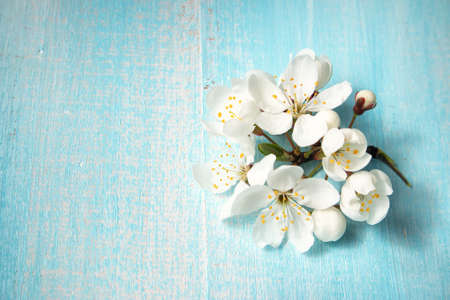 fresh cherry flowers on old wooden boardの写真素材