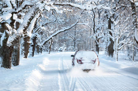 snowy alley in snowy winter morning at countrysideの写真素材