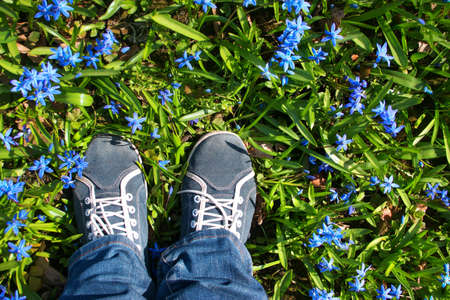 view to spring flowers in the park. Beautiful morning with sunshine. Feet in shoes on the groundの写真素材
