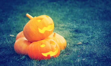 ripe pumpkins for halloween on green grass backgroundの写真素材