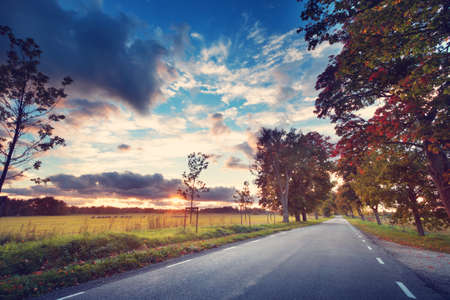 asphalt road with beautiful trees on the sides in autumn. Car moving on highway at sunset