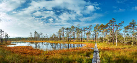 Viru bogs at Lahemaa national park in autumn. Wooden path at beautiful wild place in Estoniaの写真素材