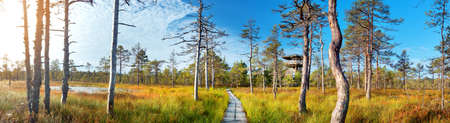 Viru bogs at Lahemaa national park in autumn. Wooden path at beautiful wild place in Estoniaの写真素材